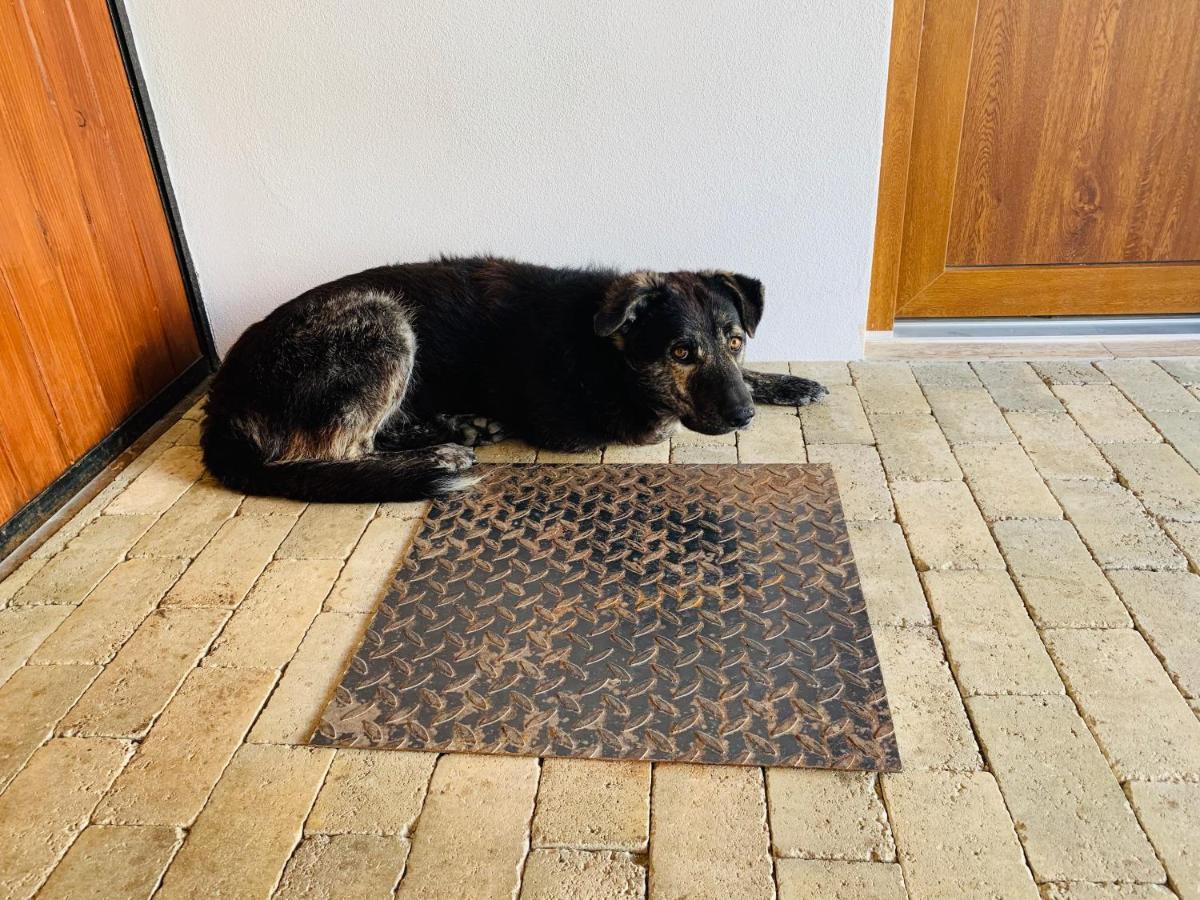Hotel Casa "La Moara Din Gradina" Eftimie Murgu Esterno foto