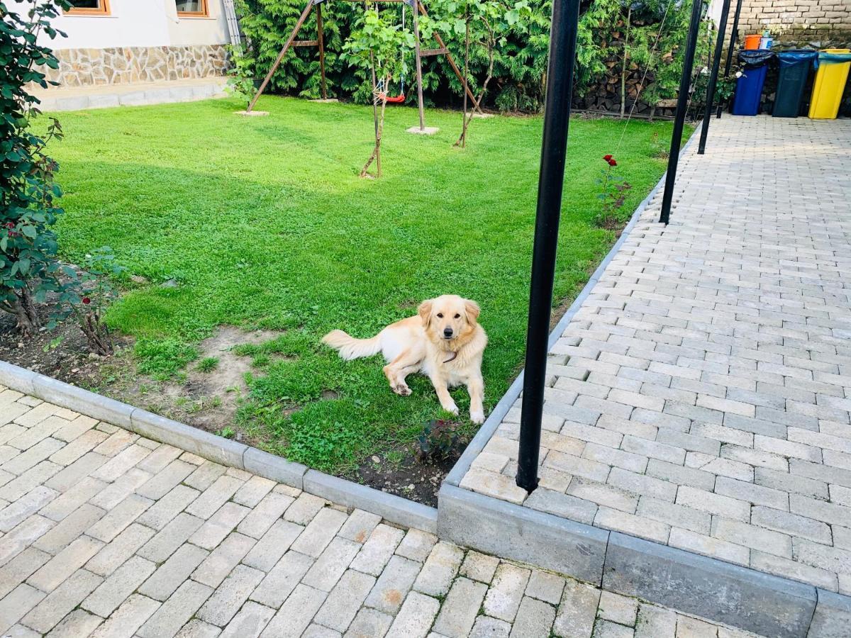 Hotel Casa "La Moara Din Gradina" Eftimie Murgu Esterno foto