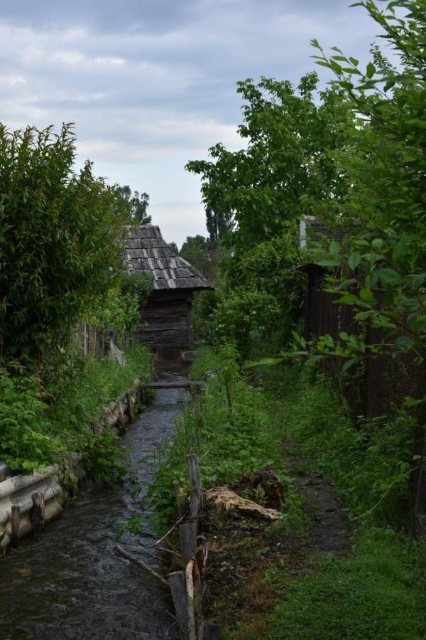 Hotel Casa "La Moara Din Gradina" Eftimie Murgu Esterno foto