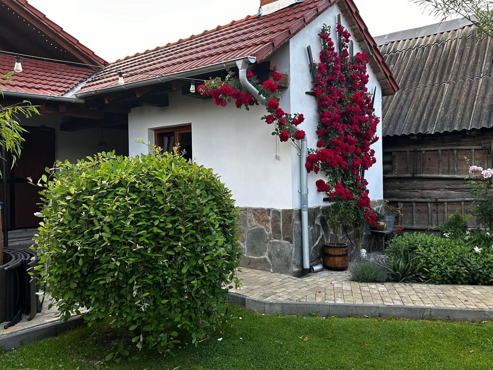 Hotel Casa "La Moara Din Gradina" Eftimie Murgu Esterno foto